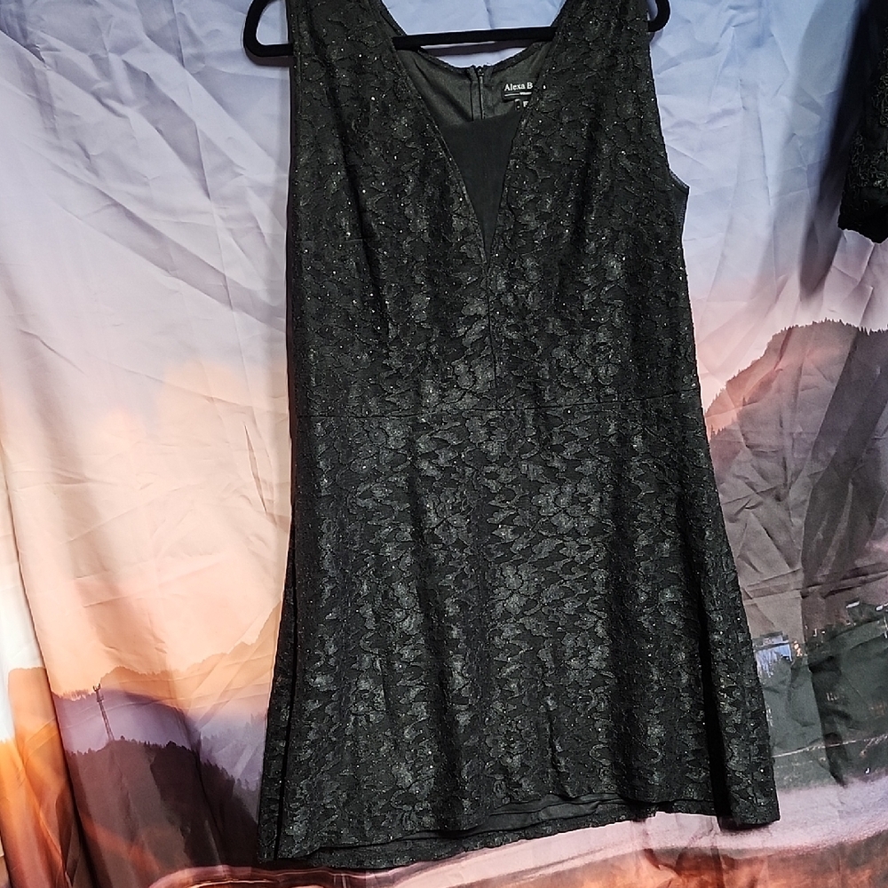 *Nwt Alex B Elegant Black Lace Mini Dress